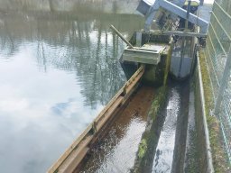 whatsapp image 2026-02-01 at 20.09.06 1